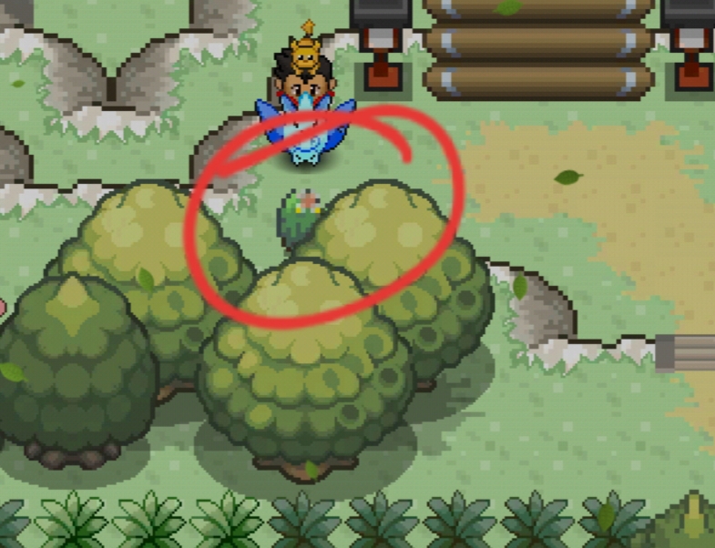 APRENDA COMO MUDAR A FORMA DO SHAYMIN NO POKEMON REVOLUTION ONLINE!!! 