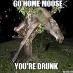 Moose0924
