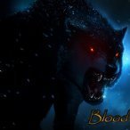 Bloodwolf14