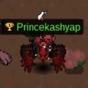 Princekashyap