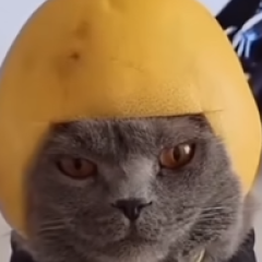 Justanoob2
