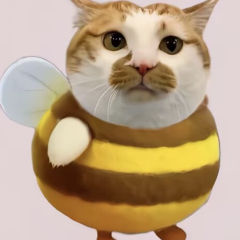 Leeluckya