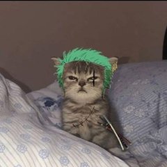 Zoro666