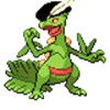 Sceptile.png.868dd1e1868c0cf849f133bd59c95fce.png