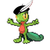 Treecko.png.af826e2ecd0a7fd58f088d194f551ab7.png