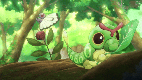 PokemonAnimeForestGIFbyPokmon(1).gif.48996daa123e8a4d85c3bed2074d885f.gif