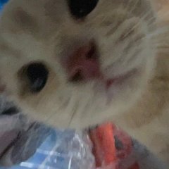 Hniz