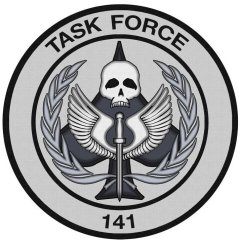 1task4force1