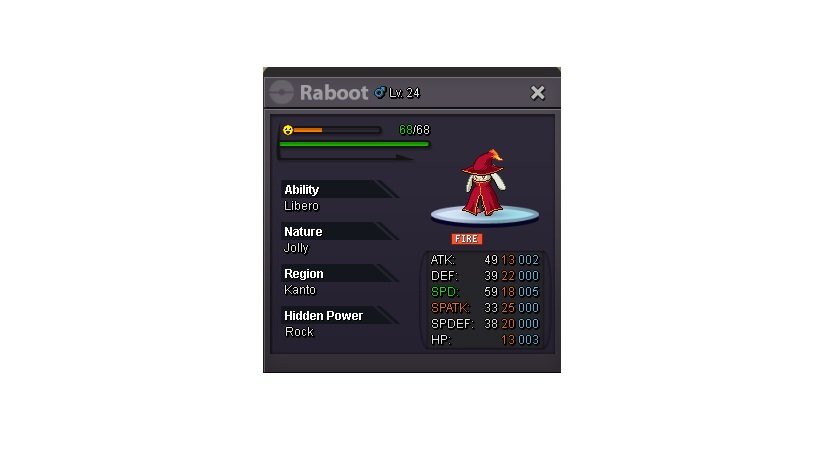 Raboot form.jpg